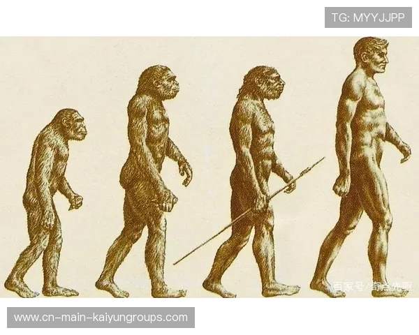 世界冠军长高三厘米上热搜：背后隐藏的坚持与科学秘密